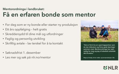 Lenke til artikkel: Mentorordninga i landbruket - NLR