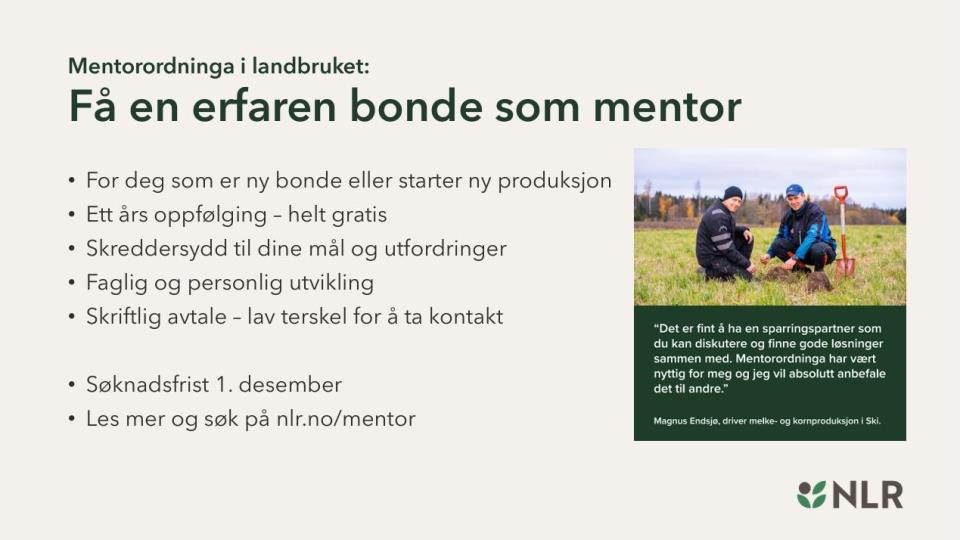 Lenke til artikkel: Mentorordninga i landbruket - NLR