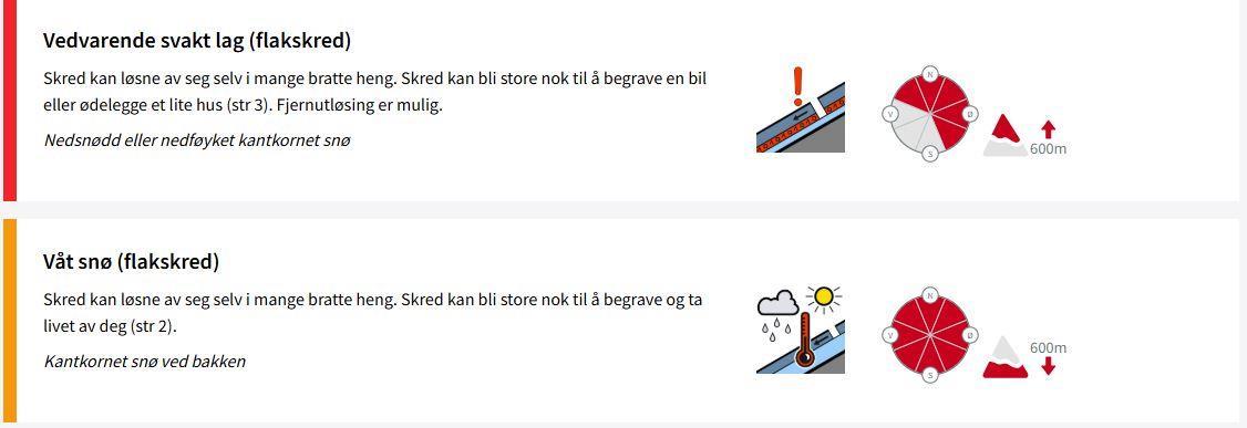 Beskrivelse av flakskred - Klikk for stort bilde