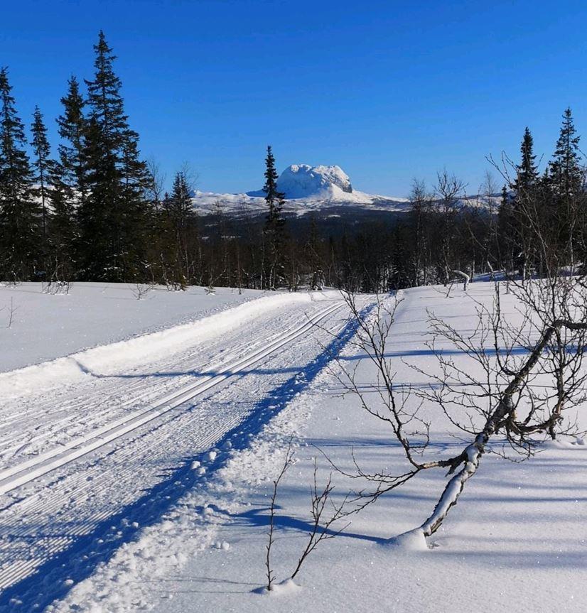Skiløpe med fjellet Hatten i bakgrunnen - Klikk for stort bilde