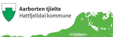 Kommunevåpen - Klikk for stort bilde